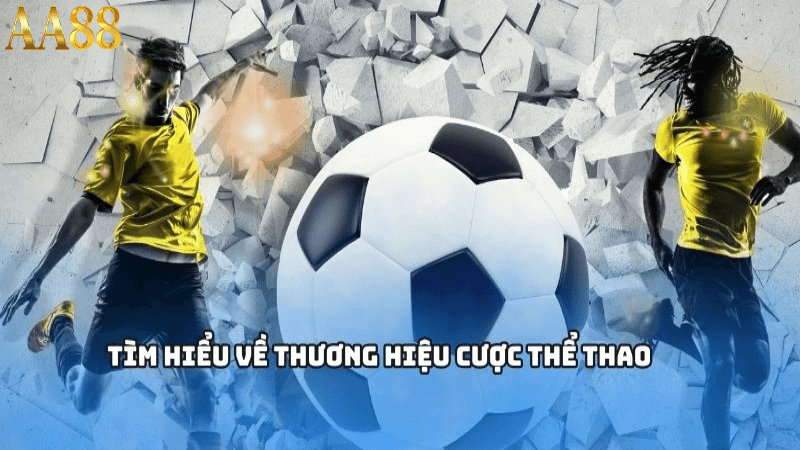 Những yếu tố ảnh hưởng đến kết quả cá cược